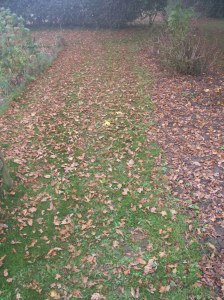 KONICA MINOLTA DIGITAL CAMERA