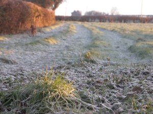 KONICA MINOLTA DIGITAL CAMERA