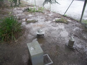 KONICA MINOLTA DIGITAL CAMERA