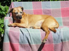 Gardening is just so tough....