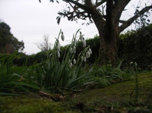 KONICA MINOLTA DIGITAL CAMERA