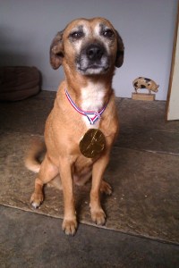 Awarded for services to pest control