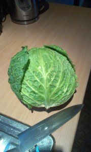 A week's worth of cabbage
