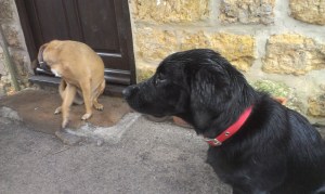 So...who's stressed by the wet?