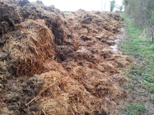 There used to be a track here