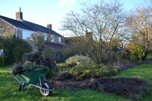 Shallow roots, he said