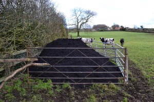 Ten tons of good stuff