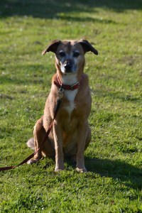 Back on the String of Shame