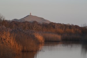 Glastonbury from Ham Wall