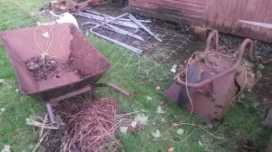 The hens will be moving into the wheelbarrow graveyard