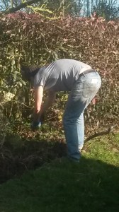 The author digging the beds