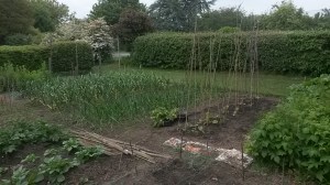 Runners and French ready to climb
