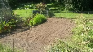 Retaking territory after the weeds