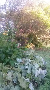 Boomrerang Bed in Autumn