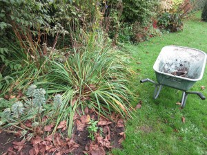 Halving the irises in the Silver Wedding