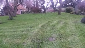 December mow - the mole hill reappeared within minutes