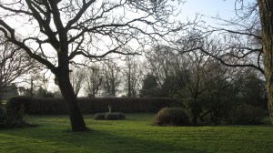 Cut grass and sharp edges