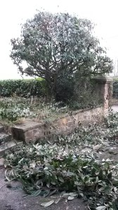 An hour and a half later..