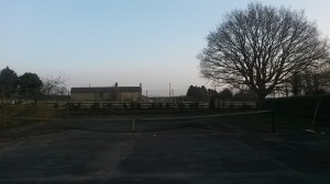 Better viewing for the cattle