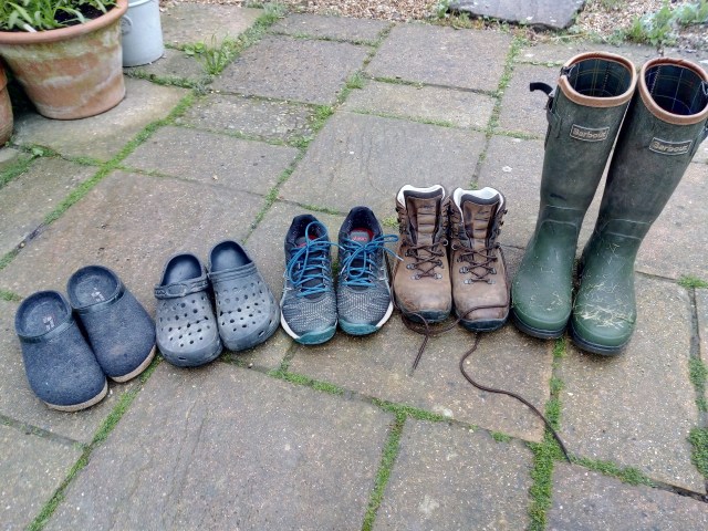 img_20180605_073150342_hdr