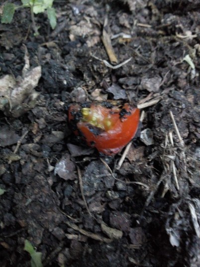 img_20180717_211821252