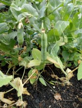 img_20180802_092310421