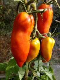 img_20180808_084533092