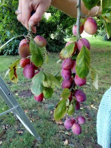 img_20180825_154436676